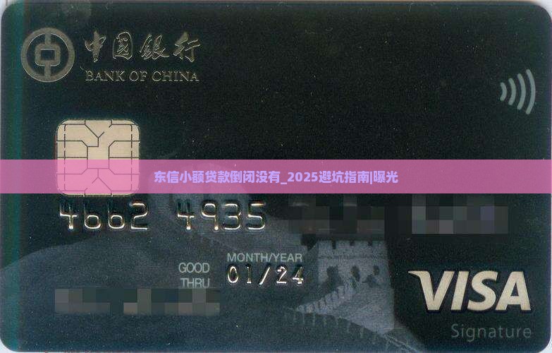 东信小额贷款倒闭没有