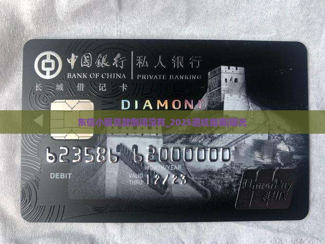 东信小额贷款倒闭没有