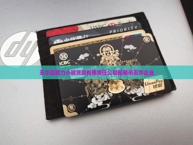 五华区健力小额贷款