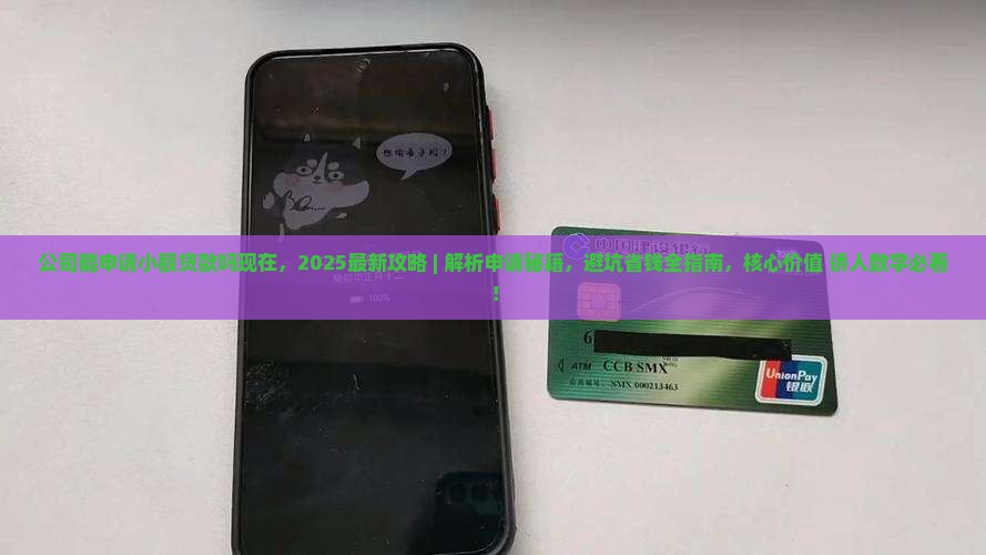 公司能申请小额贷款吗现在