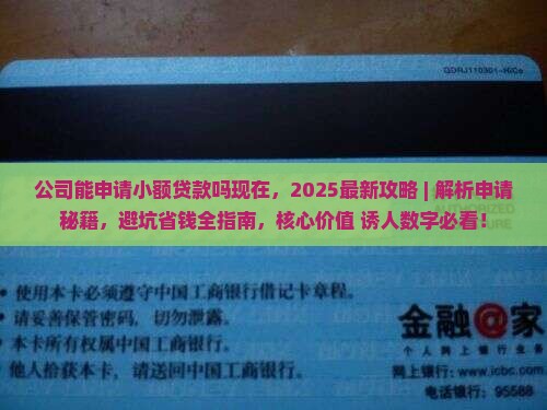 公司能申请小额贷款吗现在