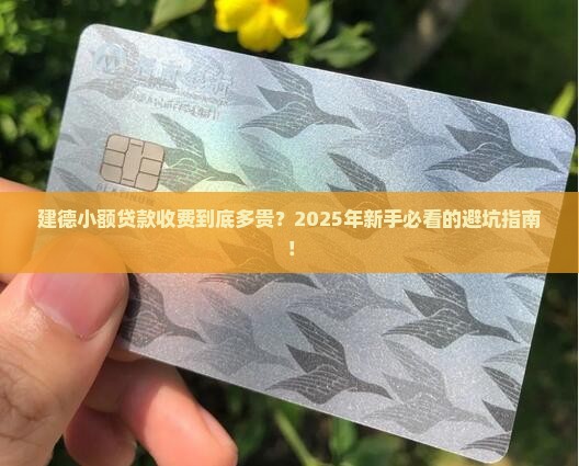 建德小额贷款怎么收费