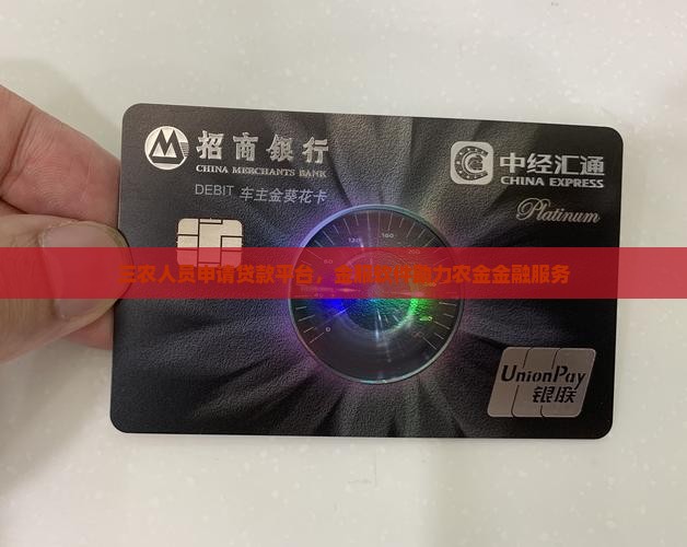 三农人员申请的贷款平台