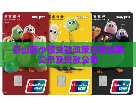 彭山区小额贷款政策规定最新公示及贷款公司