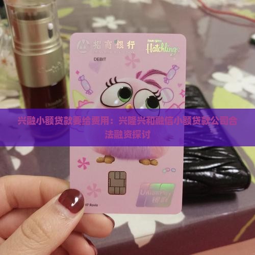 兴融小额贷款要给费用：兴隆兴和融信小额贷款公司合法融资探讨