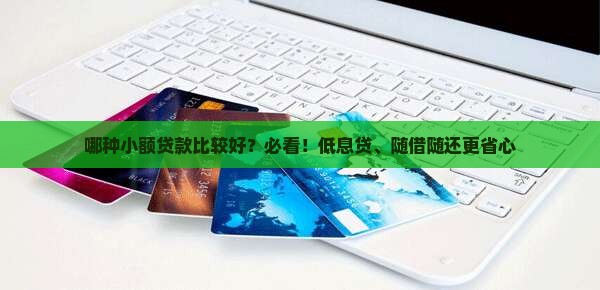 哪种小额贷款比较好？必看！低息贷、随借随还更省心