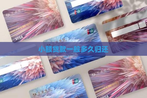 小额贷款一般多久归还