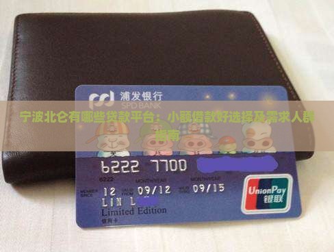 宁波北仑有哪些贷款平台：小额借款好选择及需求人群指南