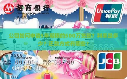 公司如何申请5年期限的500万贷款？利率是多少？还款方式有哪些？