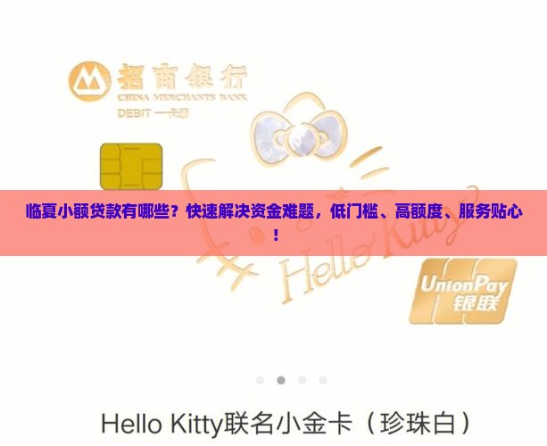 临夏小额贷款有哪些？快速解决资金难题，低门槛、高额度、服务贴心！