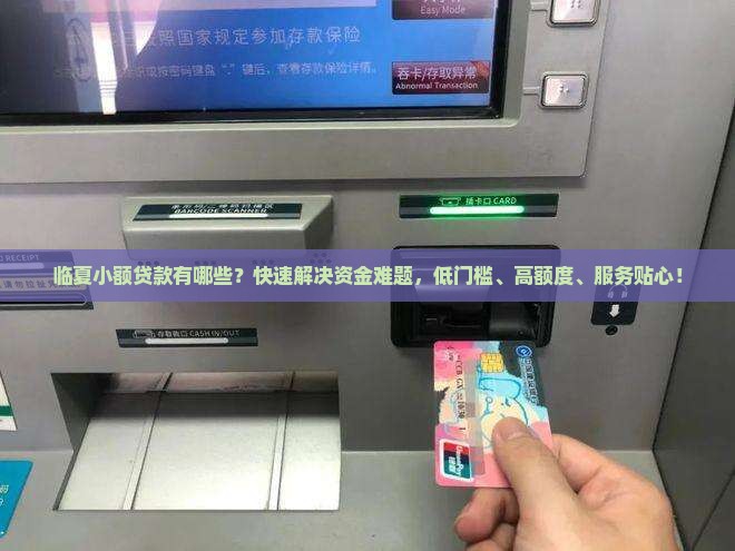 临夏小额贷款有哪些？快速解决资金难题，低门槛、高额度、服务贴心！