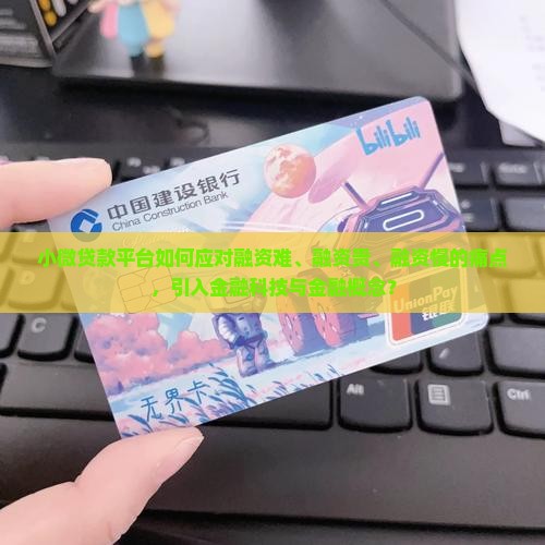 小微贷款平台如何应对融资难、融资贵、融资慢的痛点，引入金融科技与金融概念？