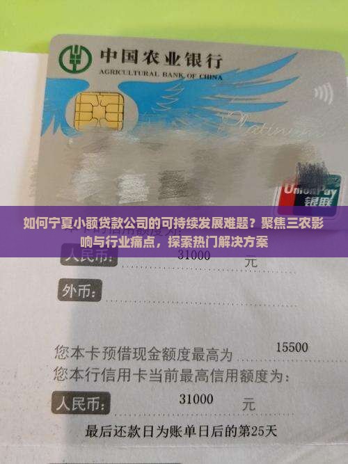 如何宁夏小额贷款公司的可持续发展难题？聚焦三农影响与行业痛点，探索热门解决方案