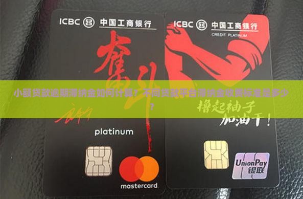 小额贷款逾期滞纳金如何计算？不同贷款平台滞纳金收费标准是多少？