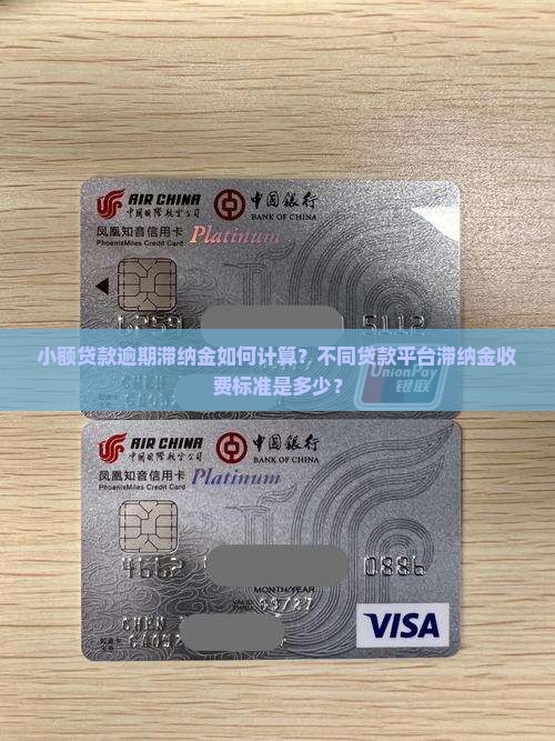 小额贷款逾期滞纳金如何计算？不同贷款平台滞纳金收费标准是多少？