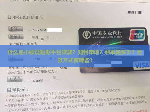 什么是小额度短期平台贷款？如何申请？利率是多少？还款方式有哪些？