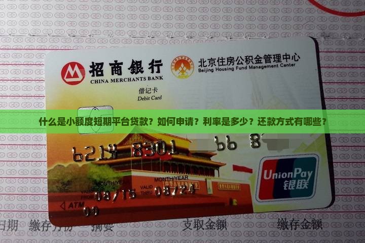 什么是小额度短期平台贷款？如何申请？利率是多少？还款方式有哪些？