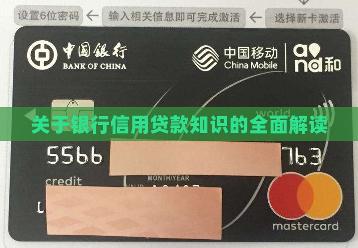 关于银行信用贷款知识的全面解读