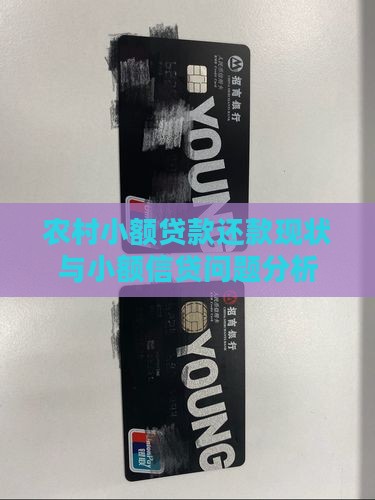 农村小额贷款还款现状与小额信贷问题分析