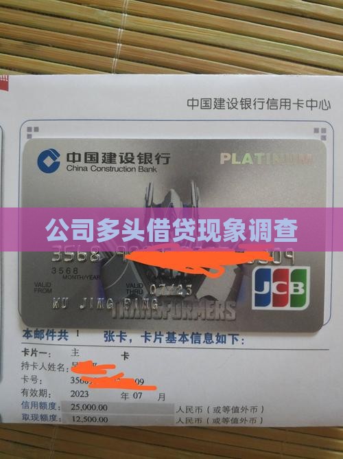 公司多头借贷现象调查