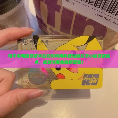 哈尔滨电脑贷款平台如何利用科技驱动解决小额贷款痛点，成就消费金融新蓝海？