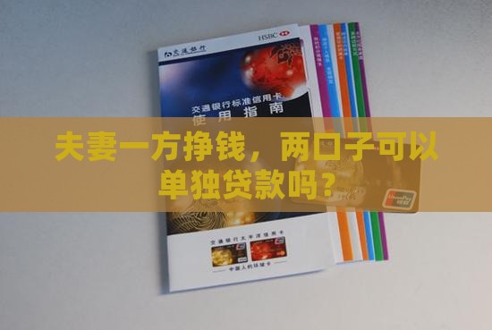 夫妻一方挣钱，两口子可以单独贷款吗？
