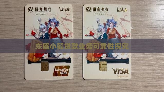 东盛小额贷款业务可靠性探究