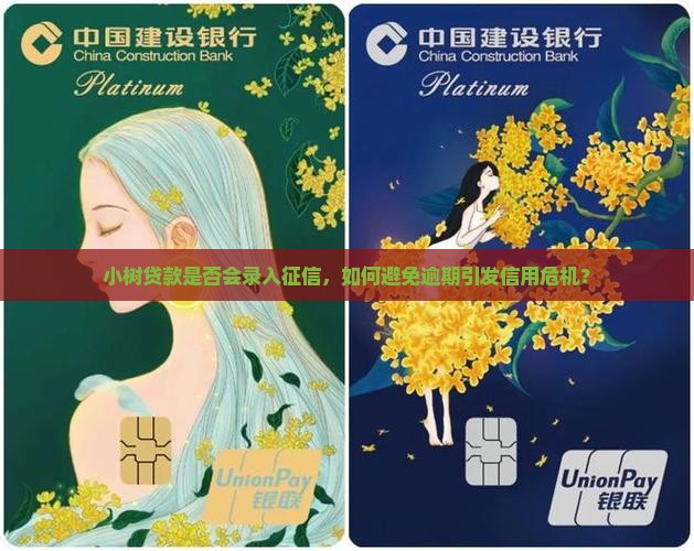 小树贷款是否会录入征信，如何避免逾期引发信用危机？