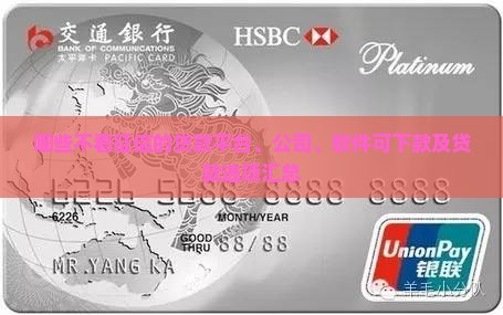 哪些不看征信的贷款平台、公司、软件可下款及贷款选项汇总