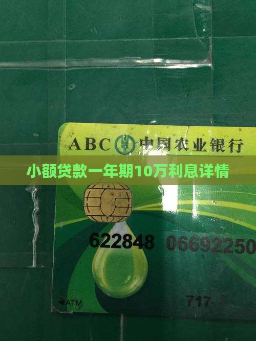 小额贷款一年期10万利息详情