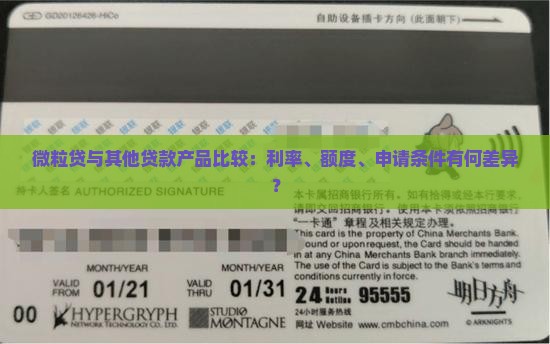 微粒贷与其他贷款产品比较：利率、额度、申请条件有何差异？