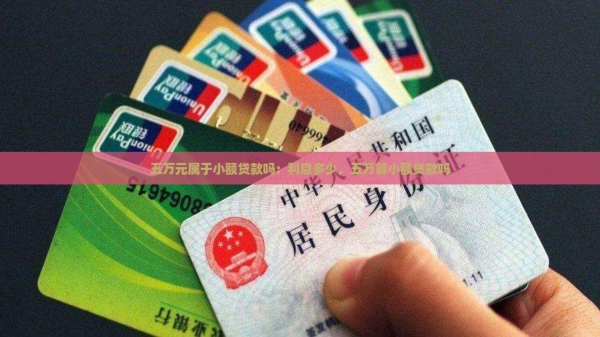 五万元属于小额贷款吗：利息多少，五万算小额贷款吗