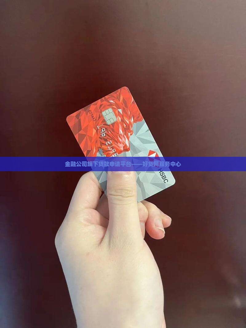 金融公司旗下贷款申请平台——好贷网服务中心
