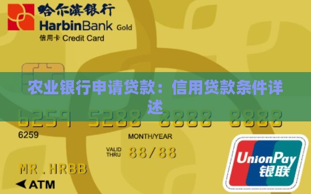 农业银行申请贷款：信用贷款条件详述