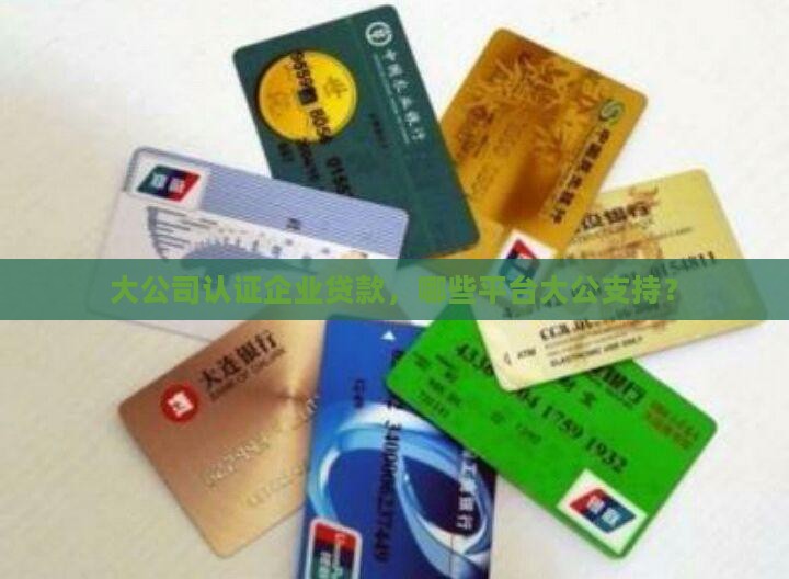 大公司认证企业贷款，哪些平台大公支持？