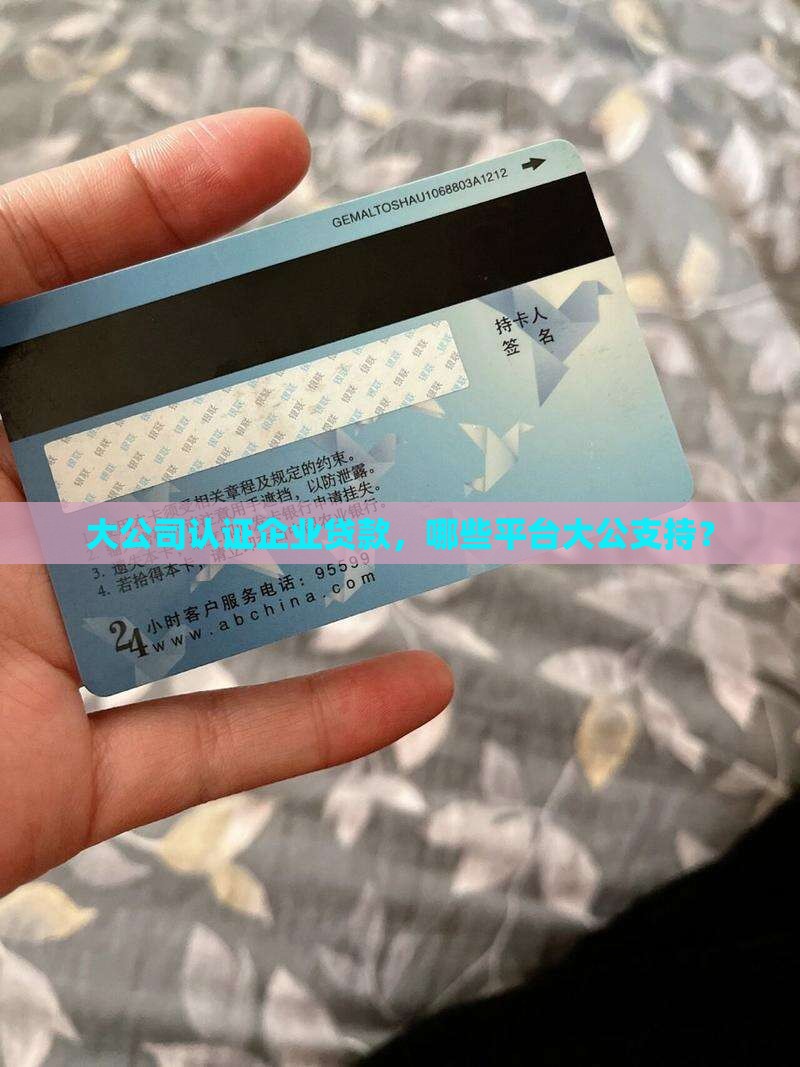 大公司认证企业贷款，哪些平台大公支持？