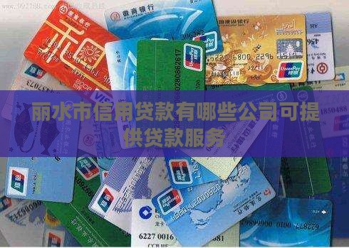 丽水市信用贷款有哪些公司可提供贷款服务
