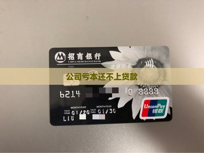公司亏本还不上贷款