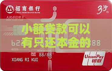 小额贷款可以有只还本金的可能吗？