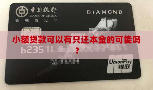小额贷款可以有只还本金的可能吗？
