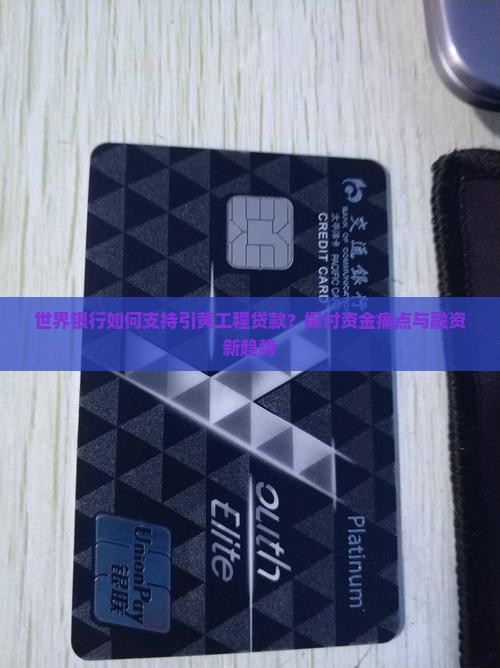 世界银行如何支持引黄工程贷款？探讨资金痛点与融资新趋势