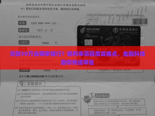 贷款30万去哪家银行？低利率高额度成痛点，金融科技助你快速审批