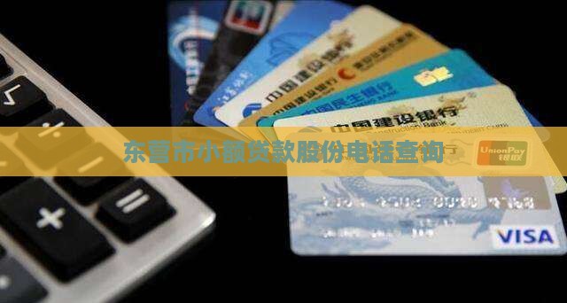 东营市小额贷款股份电话查询