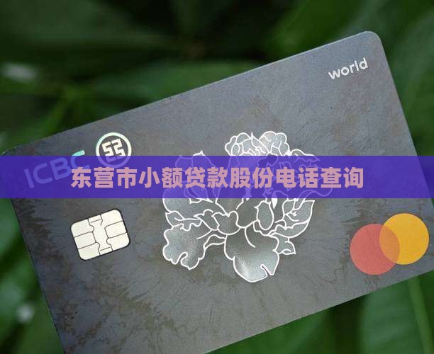 东营市小额贷款股份电话查询