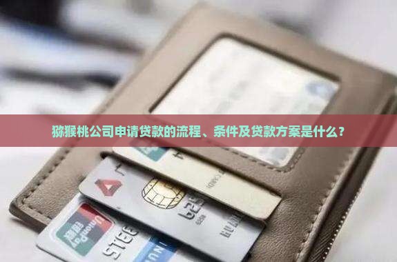 猕猴桃公司申请贷款的流程、条件及贷款方案是什么？