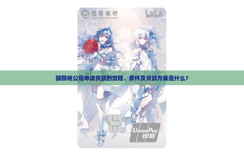 猕猴桃公司申请贷款的流程、条件及贷款方案是什么？