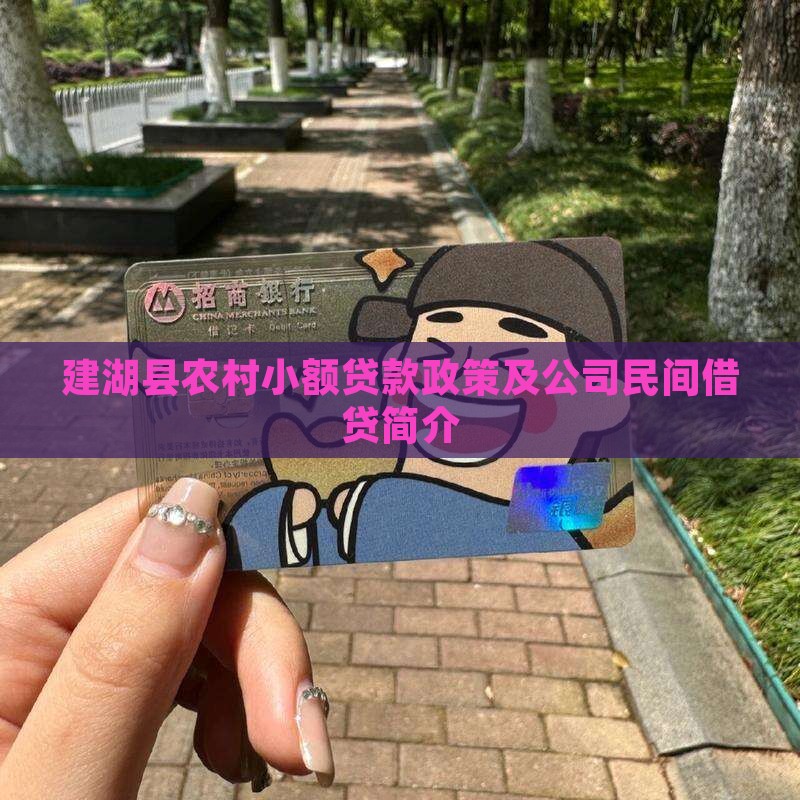 建湖县农村小额贷款政策及公司民间借贷简介