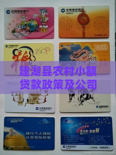 建湖县农村小额贷款政策及公司民间借贷简介