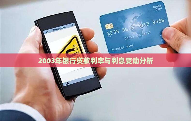 2003年银行贷款利率与利息变动分析