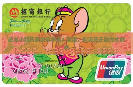 威龙小额贷款如何申请？额度、利率及还款方式解析